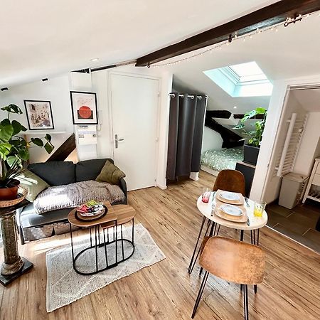 Loft Hortensia Hyper Centre Castres Castres (Tarn) Exterior foto