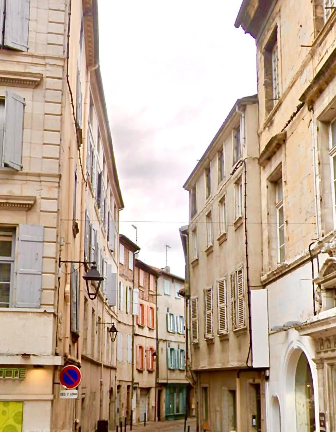 Loft Hortensia Hyper Centre Castres Castres (Tarn) Exterior foto