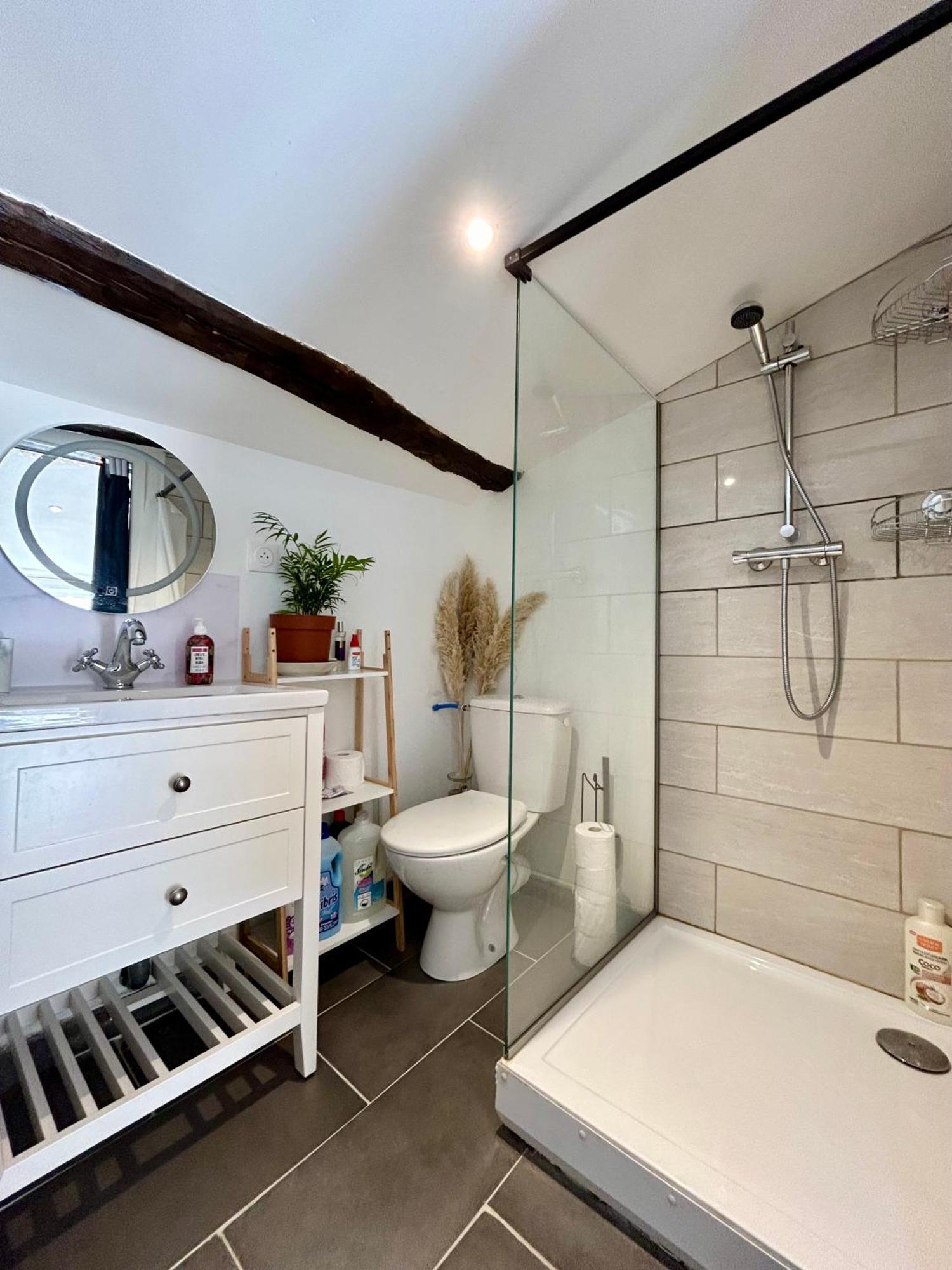 Loft Hortensia Hyper Centre Castres Castres (Tarn) Exterior foto