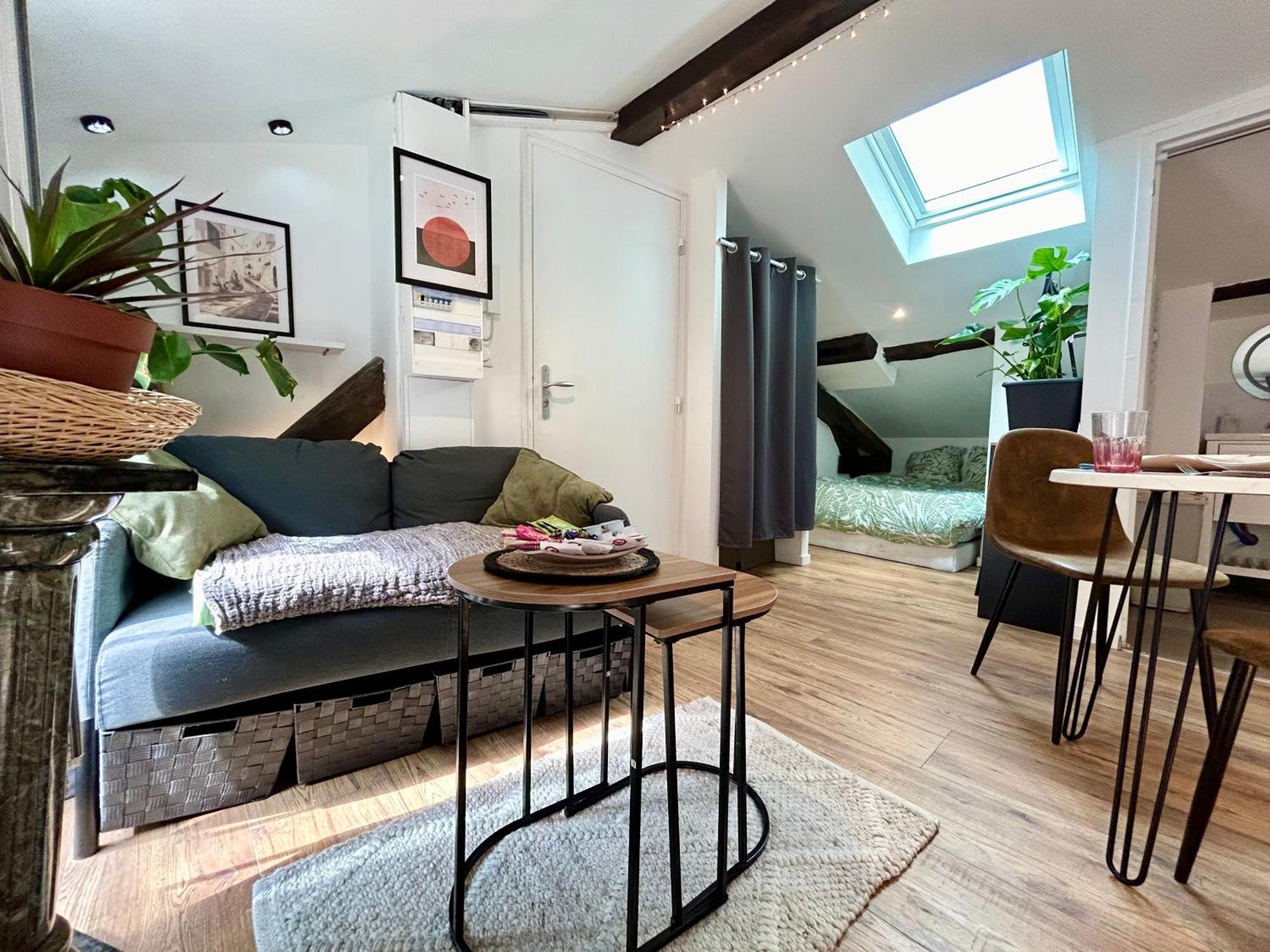 Loft Hortensia Hyper Centre Castres Castres (Tarn) Exterior foto