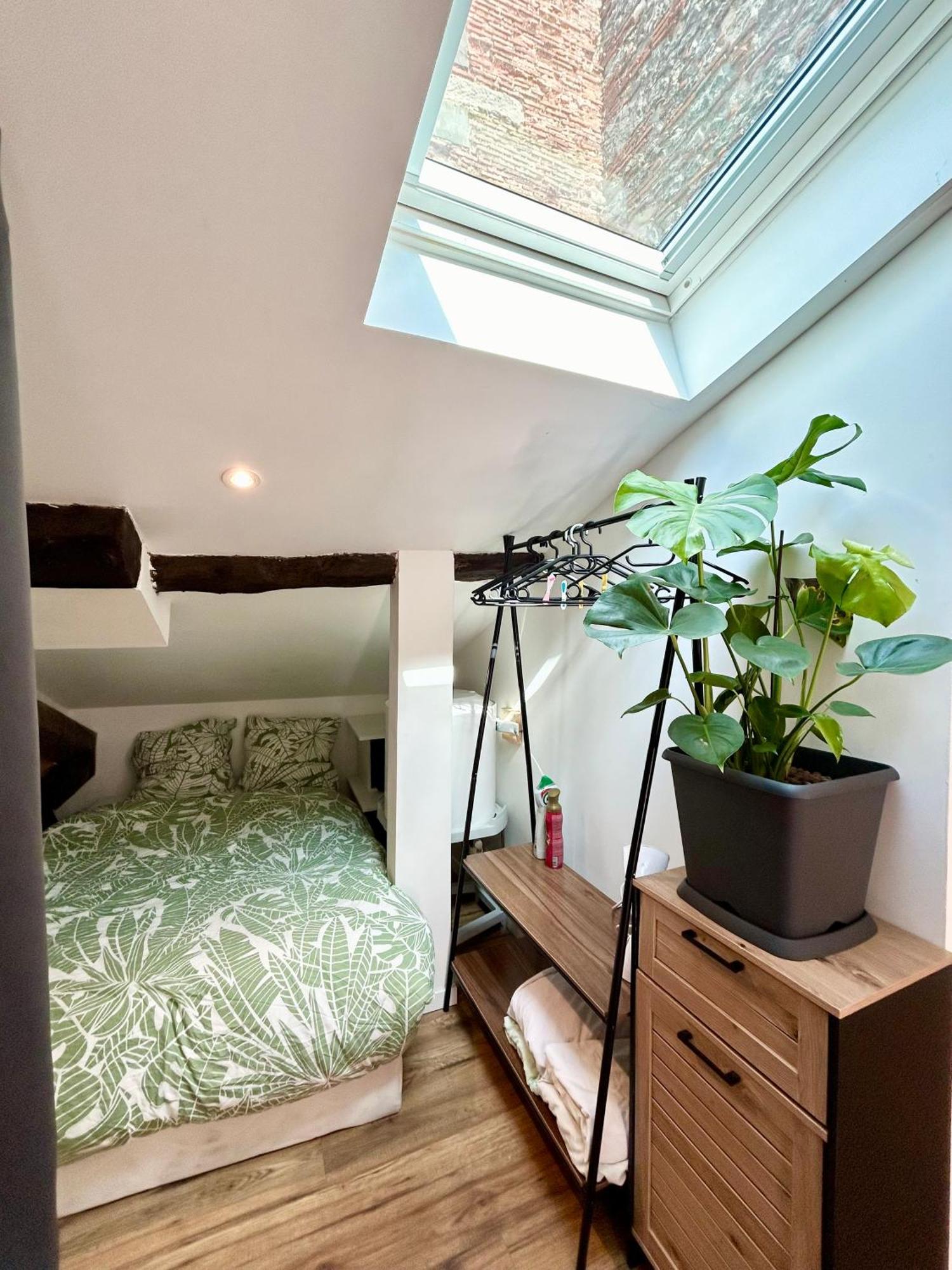 Loft Hortensia Hyper Centre Castres Castres (Tarn) Exterior foto